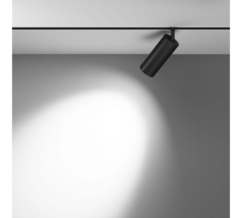 Трековый светодиодный светильник Maytoni Technical Focus Led TR032-2-20W3K-M-B