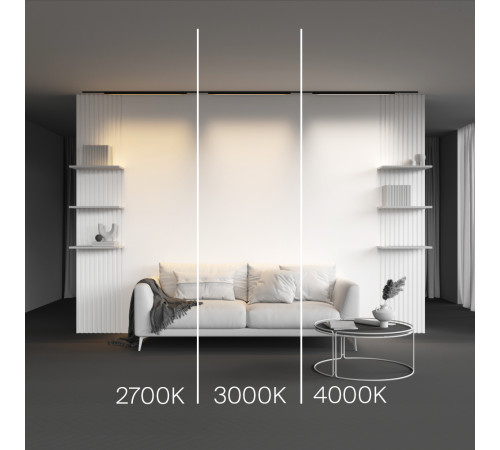 Трековый магнитный светильник Maytoni Basis TR192-1-21W2.7K-B Трековый магнитный светильник Maytoni Basis TR192-1-21W2.7K-B