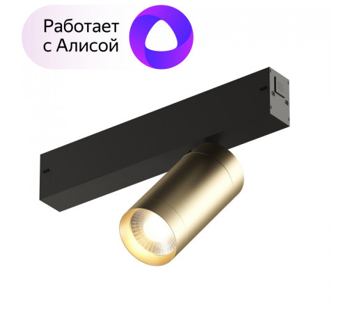 Трековый светильник Denkirs Smart DK8010-BG Трековый светильник Denkirs Smart DK8010-BG