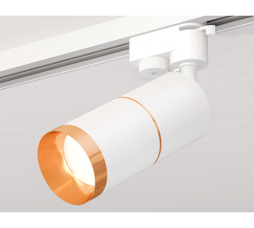 Трековый однофазный светильник Ambrella Light Track System XT6301021 (A2520, C6301, A2062, C6301, N6134) Трековый однофазный светильник Ambrella Light Track System XT6301021 (A2520, C6301, A2062, C6301, N6134)