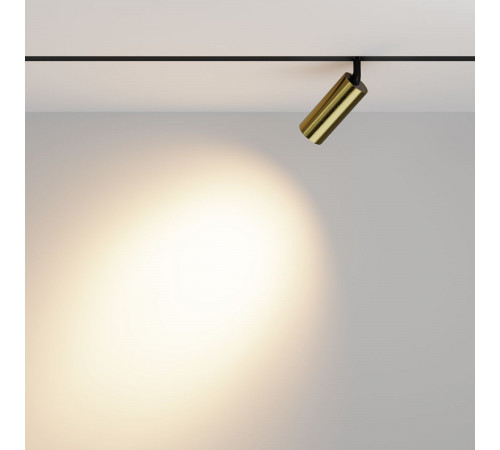 Трековый магнитный светильник Maytoni Focus Led TR032-2-12W3K-M-BBS