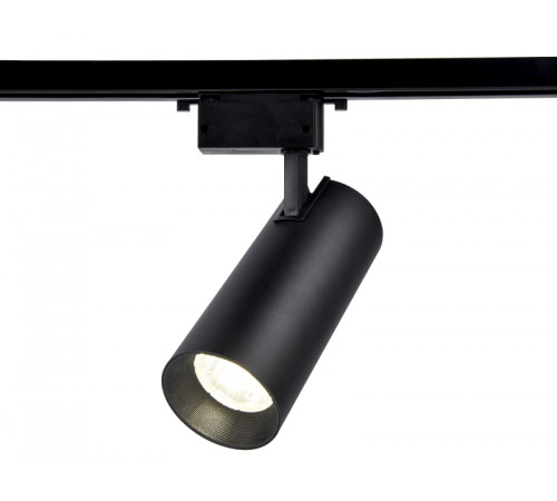 Трековый однофазный светильник Ambrella Light Track System GL5859