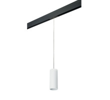 Трековый светильник Lightstar Rullo PRORP486 (214486+595857)