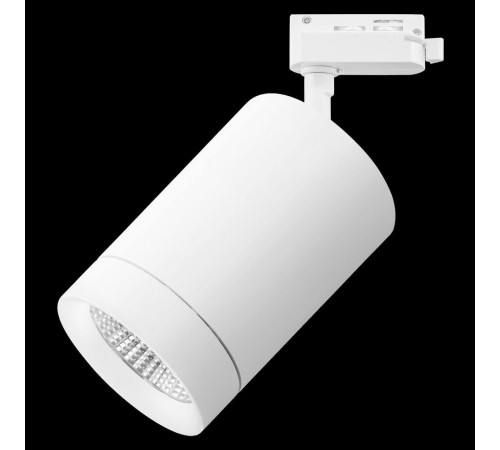 Трековый светодиодный светильник Lightstar Canno Led 303262 Трековый светодиодный светильник Lightstar Canno Led 303262