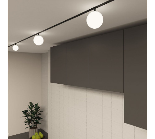 Трековый однофазный светильник Denkirs Smart Moon DK8051-BK Трековый однофазный светильник Denkirs Smart Moon DK8051-BK