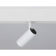 Трековый светильник Ambrella Light Track System GL3810