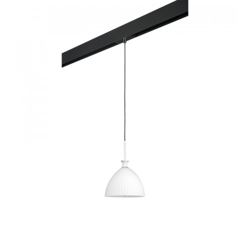 Трековый светильник Lightstar Agola PRO810020 (810020+595007) Трековый светильник Lightstar Agola PRO810020 (810020+595007)
