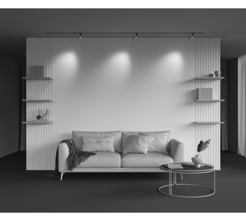 Трековый магнитный светильник Maytoni Artisan TR097-2-12W3K-M-BW