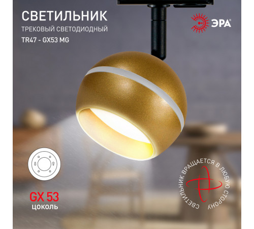Трековый светильник Эра TR47 - GX53 MG Б0054157