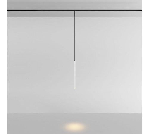 Трековый магнитный светильник Maytoni Skim TR191-1-3W3K-M-BW