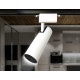 Трековый однофазный светильник Ambrella Light Track System GL5852