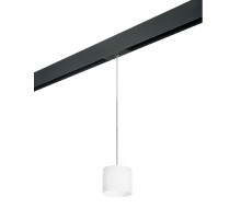 Трековый однофазный светильник Lightstar Rullo (213486+595887) PRORP3486