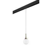 Трековый светильник Lightstar Globo PRO813011 (813011+595007)