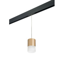 Трековый однофазный светильник Lightstar Rullo (213490+595887+202481) PRORP349081