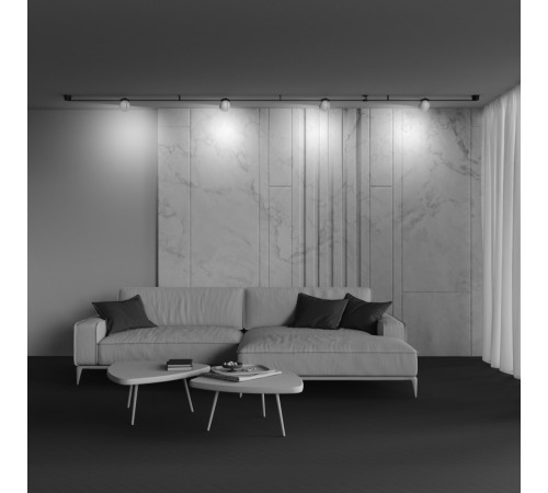 Трековый светильник Maytoni Cup TR124B-12W3K-W