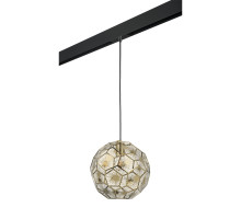 Трековый светильник Lightstar Fermo PRO724212 (724212+595007)