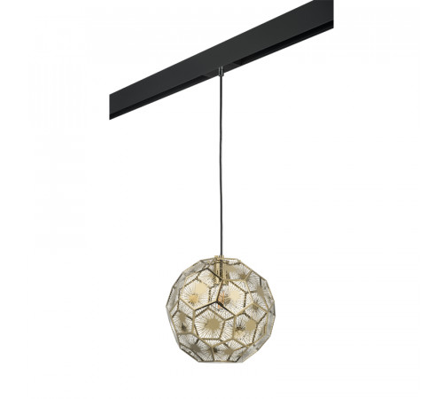 Трековый светильник Lightstar Fermo PRO724212 (724212+595007)