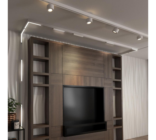 Трековый светильник Novotech Flum 358605