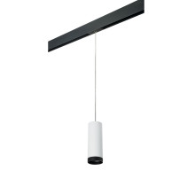 Трековый светильник Lightstar Rullo PRORP4863437 (214486+595857+203437)