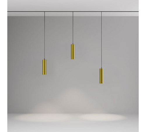 Трековый магнитный светильник Maytoni Focus Led TR041-2-12W4K-BBS