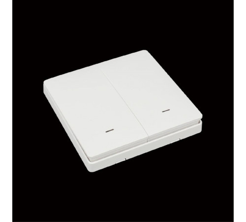 Выключатель двухклавишный Aployt Magnetic track 220 APL.0190.00.02 Выключатель двухклавишный Aployt Magnetic track 220 APL.0190.00.02