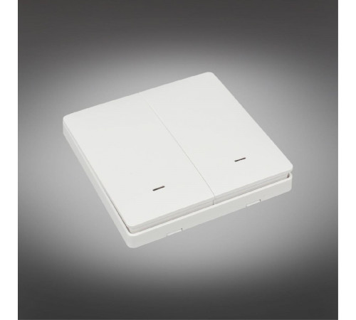 Выключатель двухклавишный Aployt Magnetic track 220 APL.0190.00.02 Выключатель двухклавишный Aployt Magnetic track 220 APL.0190.00.02