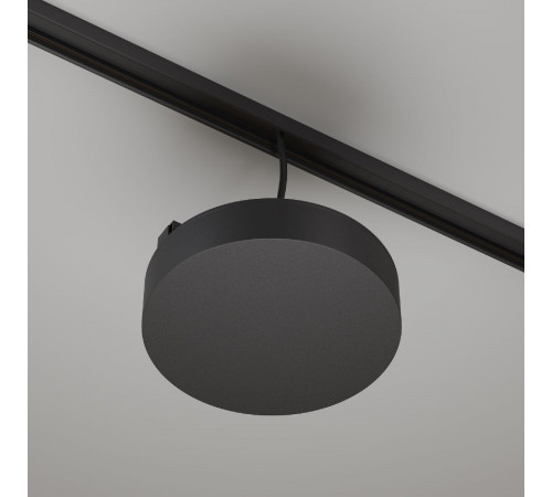 Блок питания встраиваемый Maytoni Basity DC48В 4.1A IP54 TRA172DR-200W-B