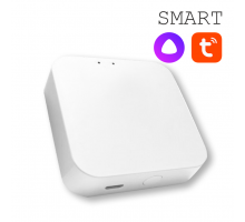 Конвертер WI-FI для трековой системы EKS Colibri Smart 0У-00002005