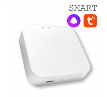 Конвертер WI-FI для трековой системы EKS Colibri Smart 0У-00002005