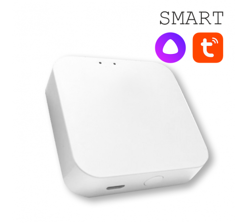 Конвертер WI-FI для трековой системы EKS Colibri Smart 0У-00002005