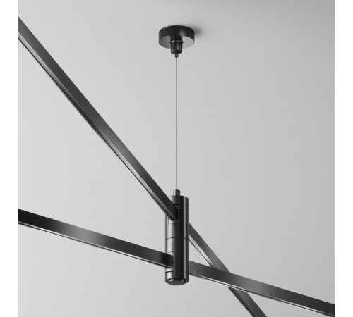 Подвес тросовый двойной Maytoni Flarity TRA157SW-D1-B Подвес тросовый двойной Maytoni Flarity TRA157SW-D1-B