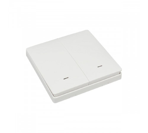 Выключатель двухклавишный Aployt Magnetic track 220 APL.0190.00.02 Выключатель двухклавишный Aployt Magnetic track 220 APL.0190.00.02