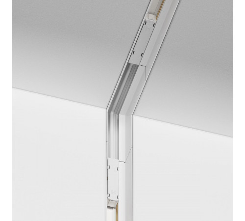 Коннектор для трека Maytoni Technical Accessories for tracks Gravity TRA010ICL-22W Коннектор для трека Maytoni Technical Accessories for tracks Gravity TRA010ICL-22W
