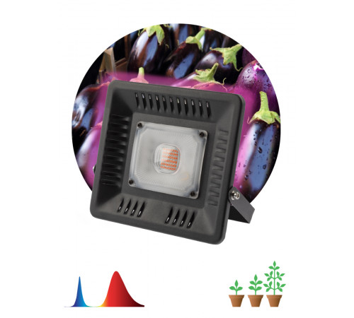 Фитопрожектор для растений Эра FITO-50W-LED-BLUERED Б0039033 Фитопрожектор для растений Эра FITO-50W-LED-BLUERED Б0039033