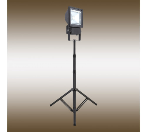 Прожектор светодиодный Globo Projecteur 34117AS
