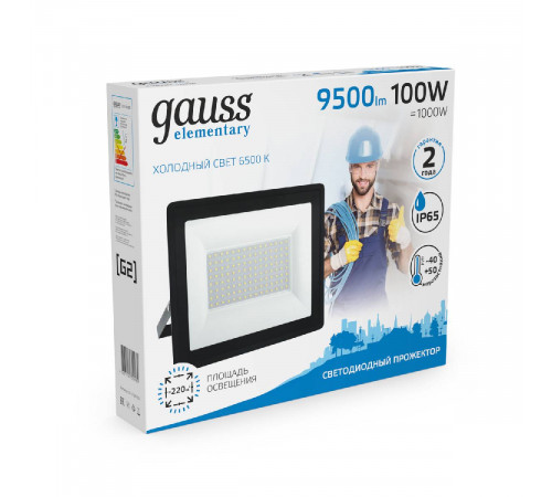 Прожектор светодиодный Gauss 100W 613100100