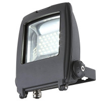 Прожектор светодиодный Globo Projecteur I 34219