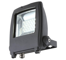 Прожектор светодиодный Globo Projecteur I 34219