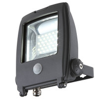 Прожектор светодиодный с датчиком движения Globo Projecteur I 34219S