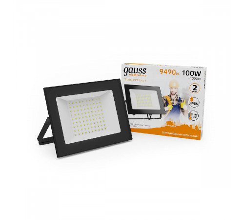 Прожектор светодиодный Gauss Elementary 100W 3000К 613527100 Прожектор светодиодный Gauss Elementary 100W 3000К 613527100