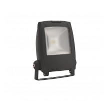 Прожектор Kanlux Rindo Led MCOB-10-GM 18480