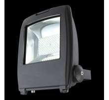 Прожектор светодиодный Globo Projecteur I 34222
