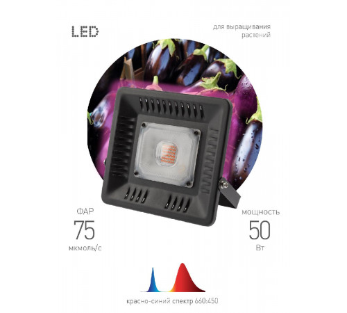 Фитопрожектор для растений Эра FITO-50W-LED-BLUERED Б0039033 Фитопрожектор для растений Эра FITO-50W-LED-BLUERED Б0039033