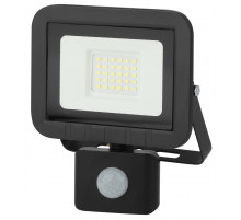 Прожектор светодиодный ЭРА LPR-041-2-65K-030 Б0043586