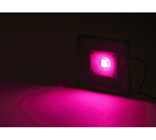 Фитопрожектор для растений Эра FITO-50W-LED-BLUERED Б0039033 Фитопрожектор для растений Эра FITO-50W-LED-BLUERED Б0039033