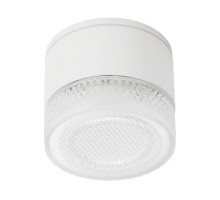 Уличный потолочный светильник Arte Lamp Piautos A1926PF-1WH