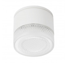 Уличный потолочный светильник Arte Lamp Piautos A1926PF-1WH
