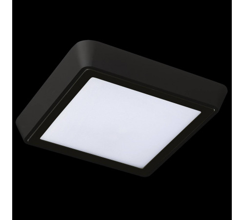 Уличный светильник Lightstar 216874 Уличный светильник Lightstar 216874