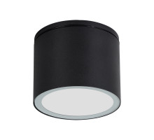 Уличный потолочный светильник Arte Lamp Piautos A1913PF-1BK