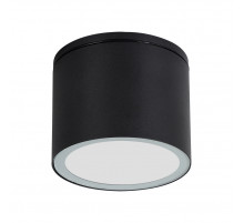 Уличный потолочный светильник Arte Lamp Piautos A1913PF-1BK